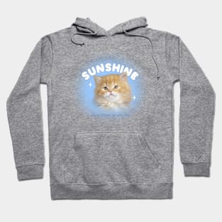 Cat sunshine Hoodie